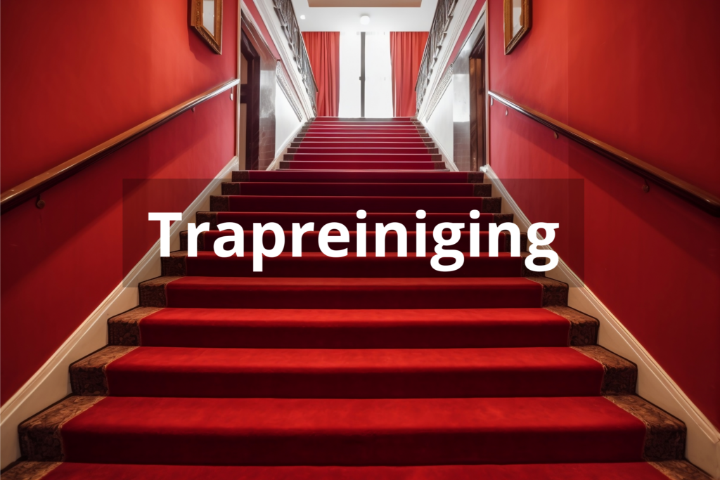 Trapreiniging